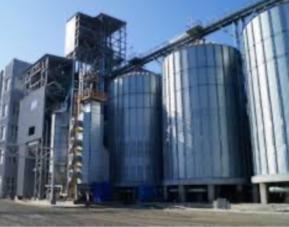 LLC FIRMA DIKANSHY, Казахстан